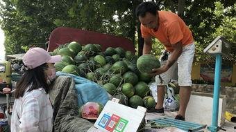济宁泗水吃瓜视频,一场吃瓜视频引发的全民热议
