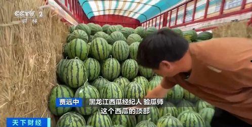 香圈吃瓜,揭秘娱乐圈背后的那些事儿