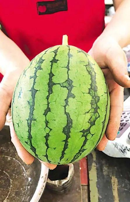 吃瓜一千,揭秘娱乐圈背后的故事与真相