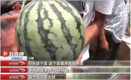 邦邦吃瓜,揭秘娱乐圈那些不为人知的幕后故事