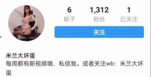 晨曦黄旭熙杨一凡吃瓜,晨曦黄旭熙杨一凡瓜田奇遇记