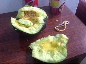 瓤瓜几月吃,夏季最佳食用指南