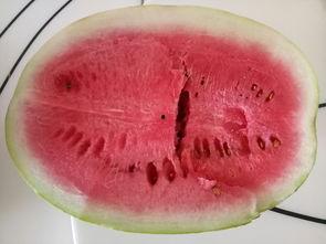 吃自家的瓜,共享丰收喜悦